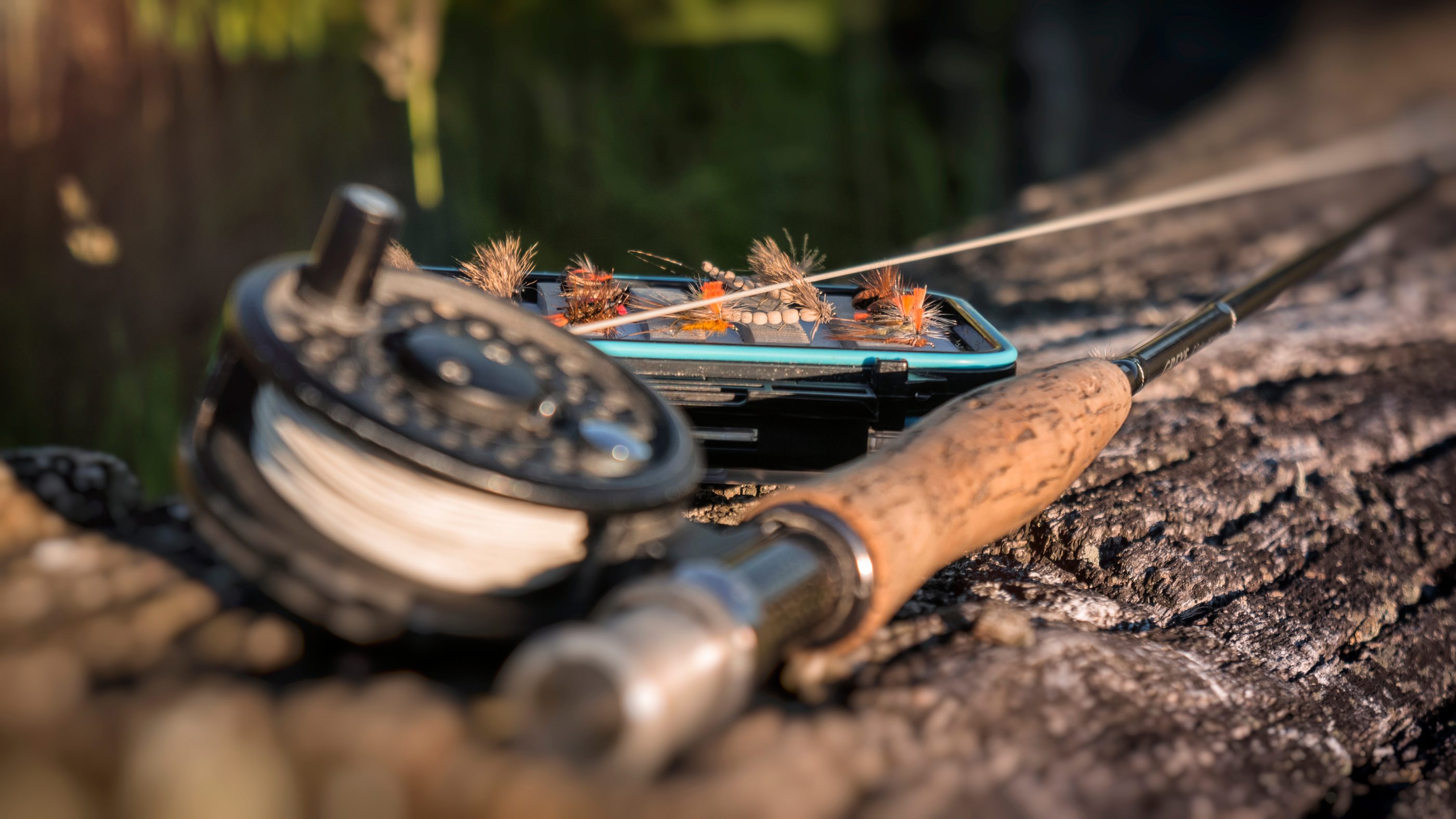 Fly fishing river landscape